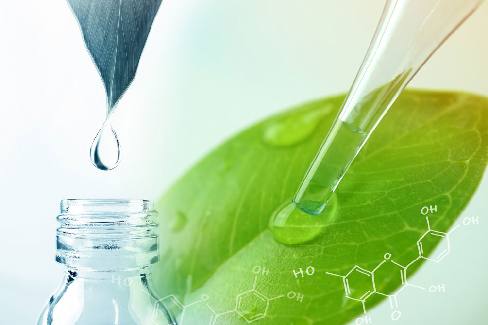 Notas Sintéticas - Parte 2